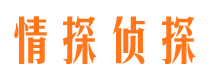 民丰情探私家侦探公司